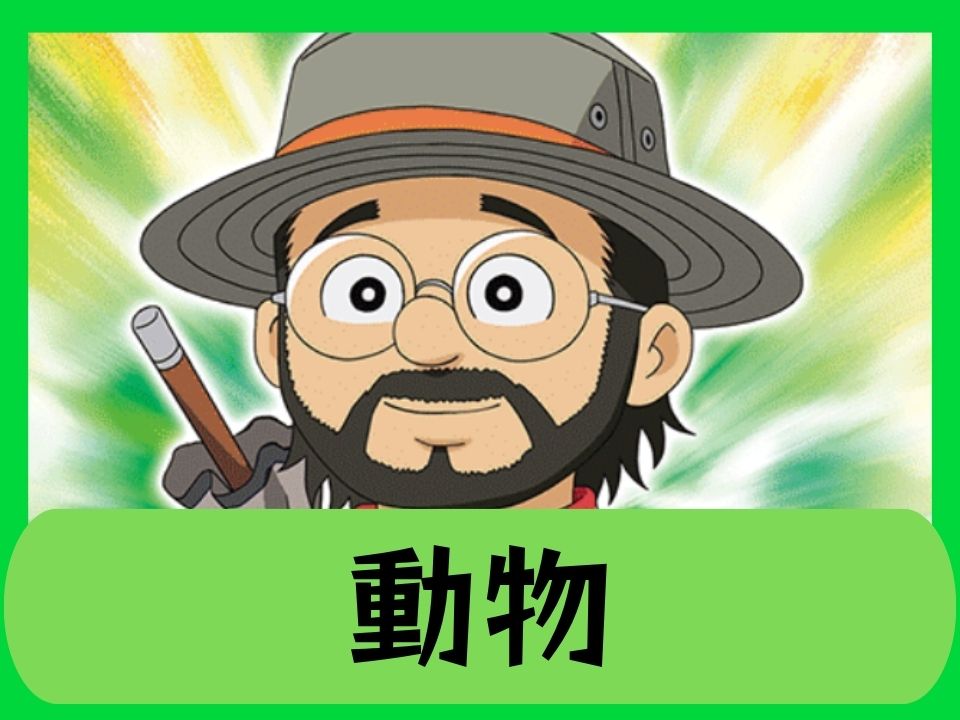 動物