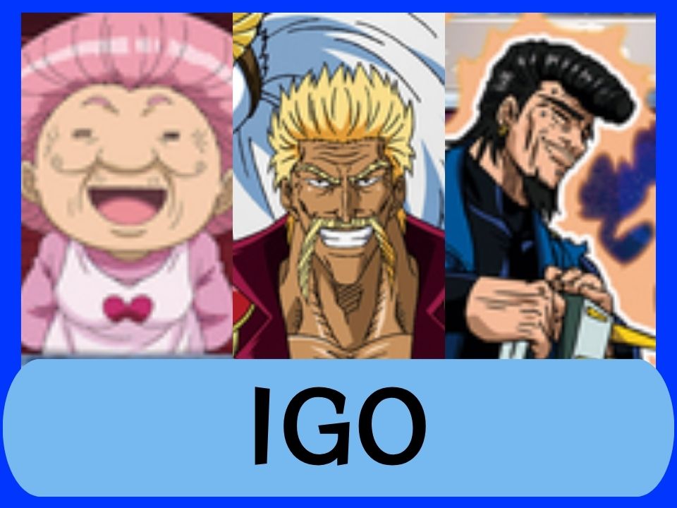 IGO
